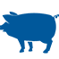 con3b2 j9.com(中国区)官方网站